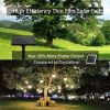 Gardens Solar String Lights