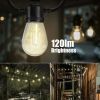 Gardens Solar String Lights