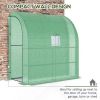 Walk-in Mini Greenhouse