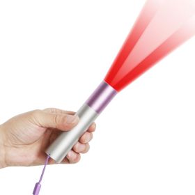 Charging Projection Cat-teasing Flashlight (Color: Silver)